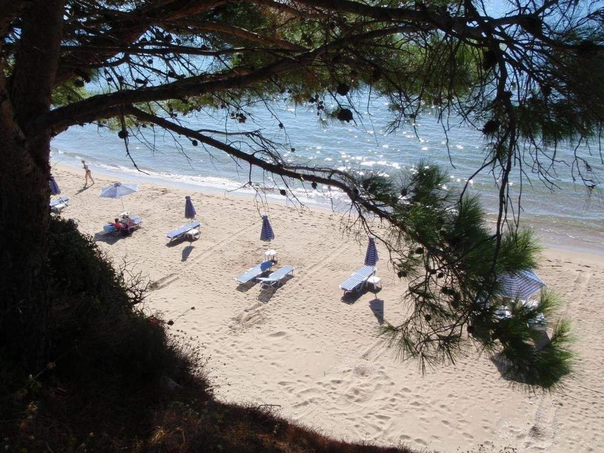Golden Sand Kampos Marathokampou Εξωτερικό φωτογραφία